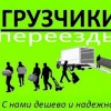 Исполнитель №115877, стаж менее 1 года