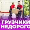Исполнитель №115943, стаж менее 1 года