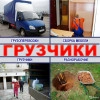 Исполнитель №115991, стаж 2 года