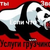 Исполнитель №115993, стаж 4 года