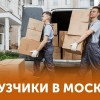 Исполнитель №116001, стаж 2 года