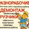 Исполнитель №116041, стаж менее 1 года