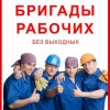 Исполнитель №116062, стаж менее 1 года