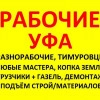 Исполнитель №116069, стаж менее 1 года