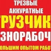 Исполнитель №116124, стаж 10 лет