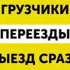 Исполнитель №116184, стаж 15 лет