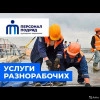 Исполнитель №116297, стаж 30 лет
