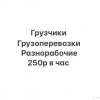 Исполнитель №116349, стаж 1 год