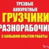 Исполнитель №116359, стаж 1 год