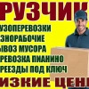 Исполнитель №116495, стаж 30 лет