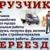 Исполнитель №116509, стаж 3 года