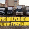 Исполнитель №116633, стаж 2 года