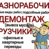 Исполнитель №116656, стаж 10 лет