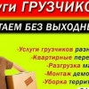 Исполнитель №116785, стаж 2 года