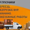 Исполнитель №116808, стаж 5 лет