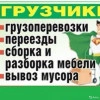 Исполнитель №116858, стаж 20 лет