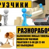 Исполнитель №116859, стаж 3 года