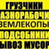 Исполнитель №116906, стаж 30 лет