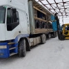 Исполнитель №118734, стаж менее 1 года
