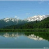 Исполнитель №118779, стаж 5 лет