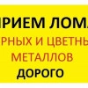 Исполнитель №120202, стаж 1 год