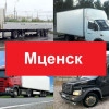 Исполнитель №123486, стаж 4 года