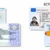 Исполнитель №124553, стаж 2 года