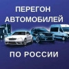 Исполнитель №124644, стаж 3 года