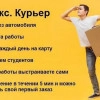 Исполнитель №124772, стаж менее 1 года