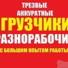 Исполнитель №126718, стаж более 30 лет