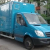 Исполнитель №129733, стаж 5 лет