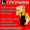 Исполнитель №130095, стаж 5 лет