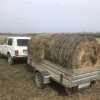 Исполнитель №130431, стаж 1 год