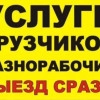Исполнитель №130815, стаж 5 лет