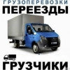 Исполнитель №131414, стаж менее 1 года