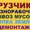Исполнитель №131727, стаж 3 года