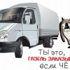 Исполнитель №131734, стаж 20 лет