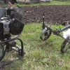 Исполнитель №133035, стаж 30 лет