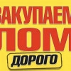 Исполнитель №133531, стаж 4 года