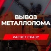 Исполнитель №133568, стаж менее 1 года