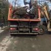 Исполнитель №133607, стаж 4 года