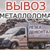 Исполнитель №133665, стаж менее 1 года