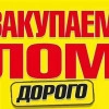 Исполнитель №133754, стаж 2 года