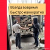 Исполнитель №133769, стаж 2 года