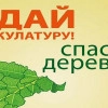 Исполнитель №133818, стаж 10 лет