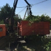 Исполнитель №134128, стаж 25 лет