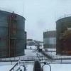 Исполнитель №134176, стаж 1 год