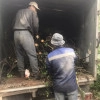 Исполнитель №134294, стаж 4 года