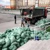 Исполнитель №134386, стаж менее 1 года