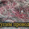 Исполнитель №134644, стаж более 30 лет